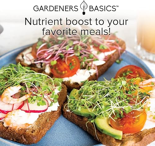 Miniatura 2 de Gardeners Basics - Kit de semillas de brócoli para brotar y microverdes sin OMG bolsa de brotes resellables de 1 libra a granel
