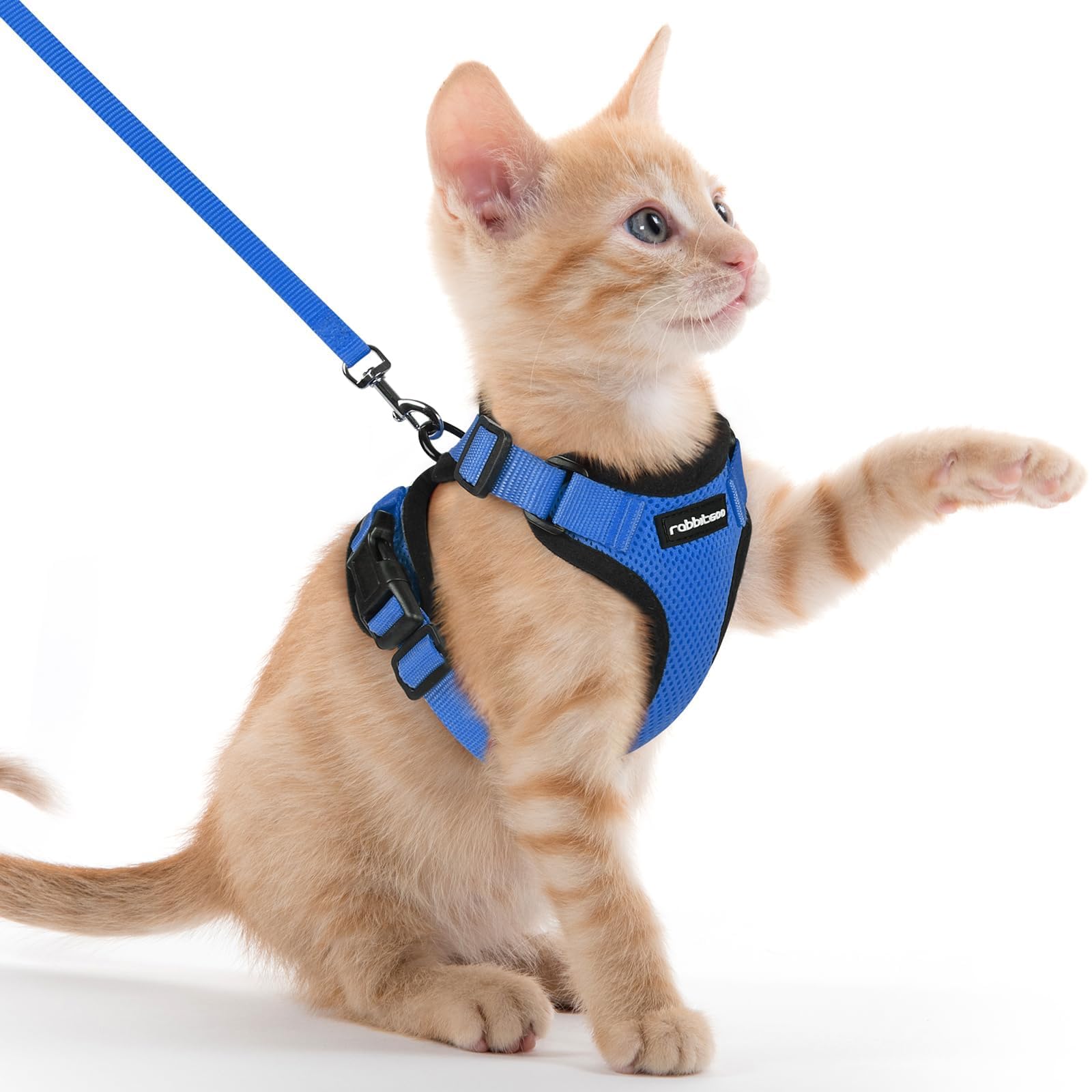 rabbitgoo Pettorina Gatto Antifuga con Guinzaglio, Guinzaglio per Gatti Regolabile, Pettorina Cane Taglia Piccola Riflettente, Imbracatura Gatto Adulto in Maglia Traspirante per Passeggiate, Blu, XXS