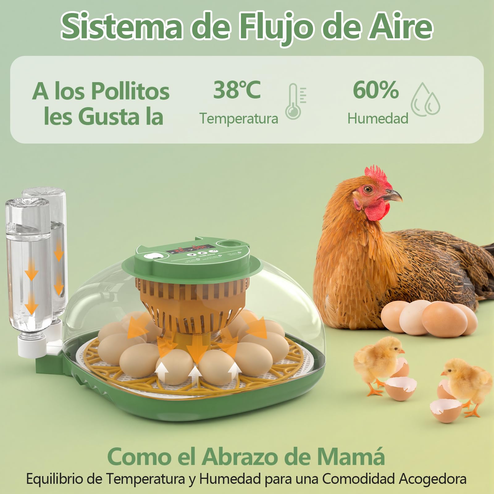 Incubadora Huevos Gallina, Diealles Shine Incubadoras de Huevos Automaticas de 12 Huevos con Volteo Automático de Huevos y Humidificación Automática, Incubadoras con Indicador de Humedad y Temperatura