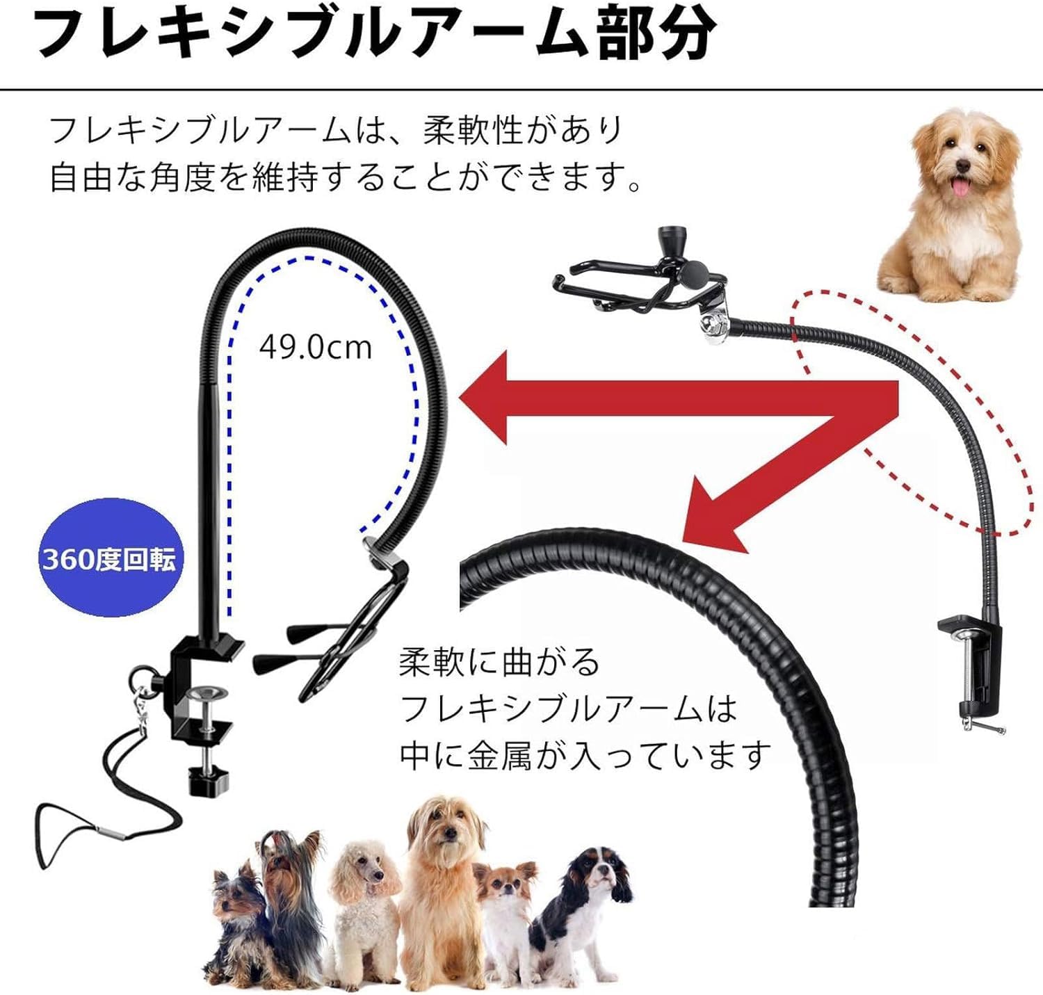 Amazon.co.jp: ペット用 ハンズフリー ドライヤー ホルダー ゴムバンド