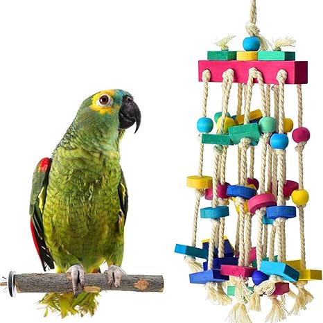 parakeet chew toys