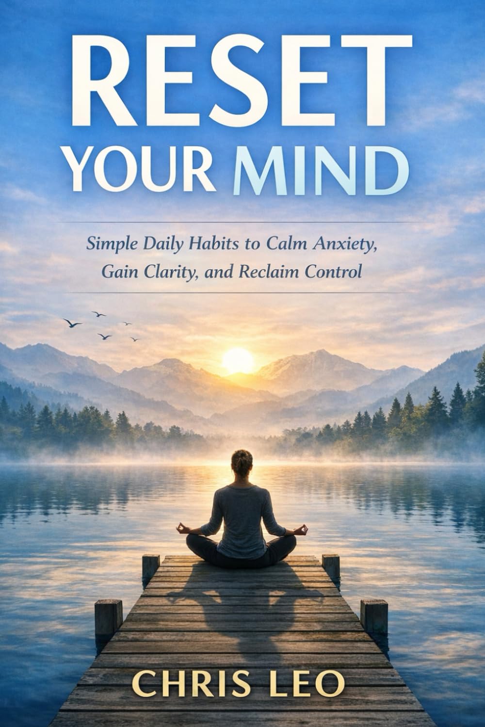 Reset Your Mind: Simple Daily Habits to Calm Anxiety, Gain Clarity, and Reclaim Control