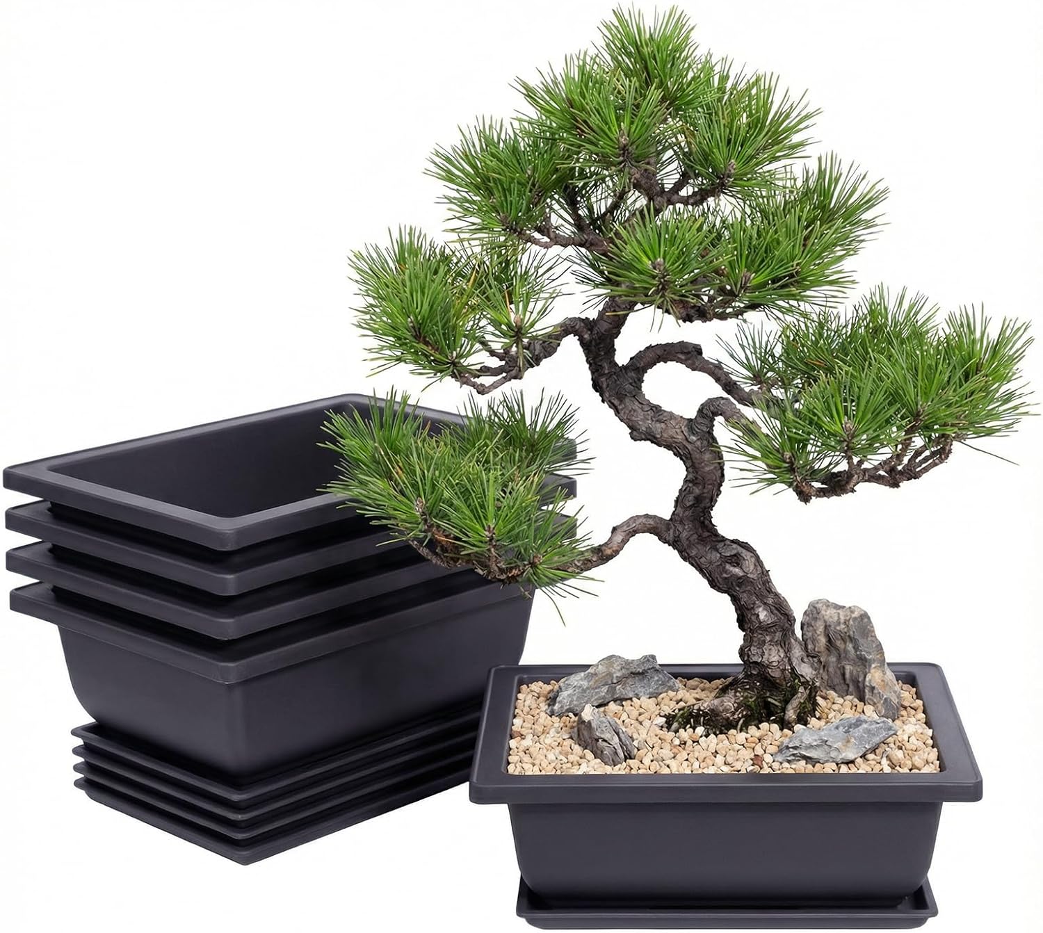 Bonsai Pots, Plastic Bonsai Tree Pots, Bonsai pots with Humidity Tray and Drainage, Suitable for Growing Potted Plants in Both Indoor and Outdoor Gardens (Ellipse, 2pcs-9.8")