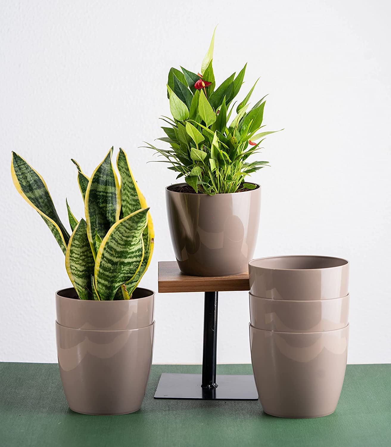 See full amazon price history chart for FASTUNBOX (LABEL) Glossy Plastic Gamla Planter Pot Flower Pot for Indoor, Outdoor, Balcony Set of 6 (Brown) FASTUNBOX (LABEL) Glossy Plastic Gamla Planter Pot Flower Pot for Indoor, Outdoor, Balcony Set of 6 (Brown) (B0BXF4Q3VS) Amazon Price History, Amazon Price Tracker