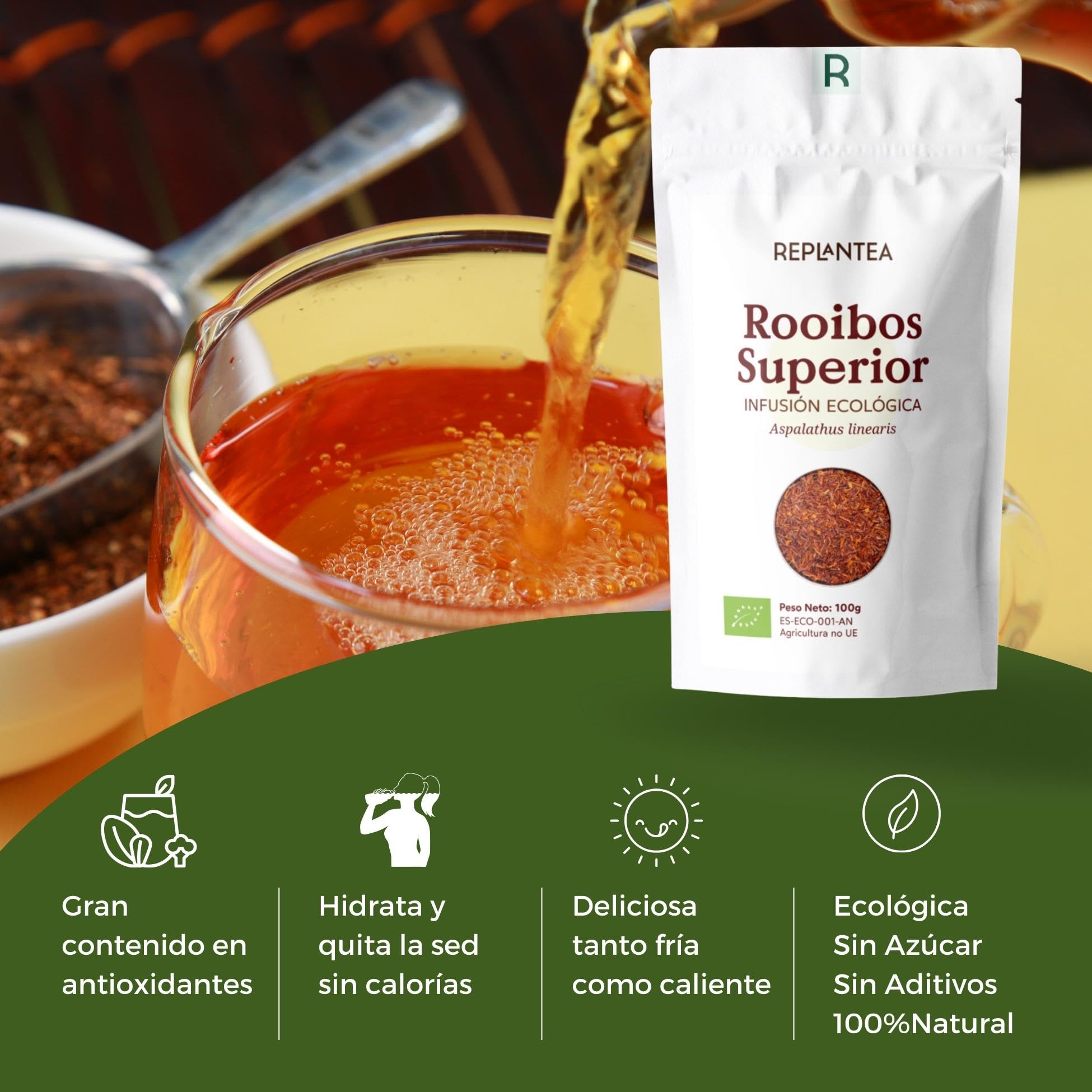 Té Rooibos Orgánico REPLANTEA® Superior 100g (50 Tazas) a Granel