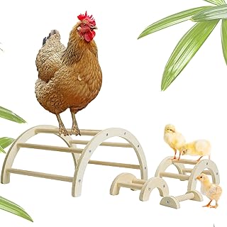 4 Pack Chicken Perch Toys,Natural Chicken Wood Stand, Chick Jungle Gym Perch Stand,Chick Stand RoostingTrainning Perch Toy,Chicken Coop Accessories Toys for Birds Hens Parrots Chicks (A)