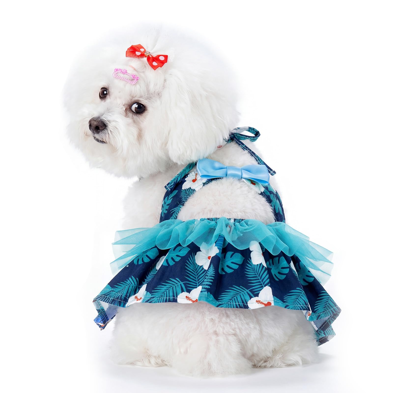 CuteBone One Piece Dog Bikini Swimsuit Dress - Puppy Bathing Suit Costume for Small Dogs - Comfortable &amp; Stylish Pet Clothes for Summer Pool, Beach &amp; Play LTDB19XS