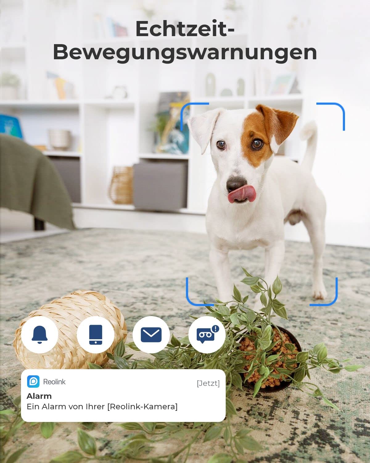 Reolink WLAN IP Kamera Indoor Schwenkbar, Überwachungskamera Innen Handy 3MP HD mit 2,4 GHz WLAN, 355° Schwenk- / 50° Neigung, Zwei-Wege-Audio, IR-Nachtsicht E1 (Generalüberholt)