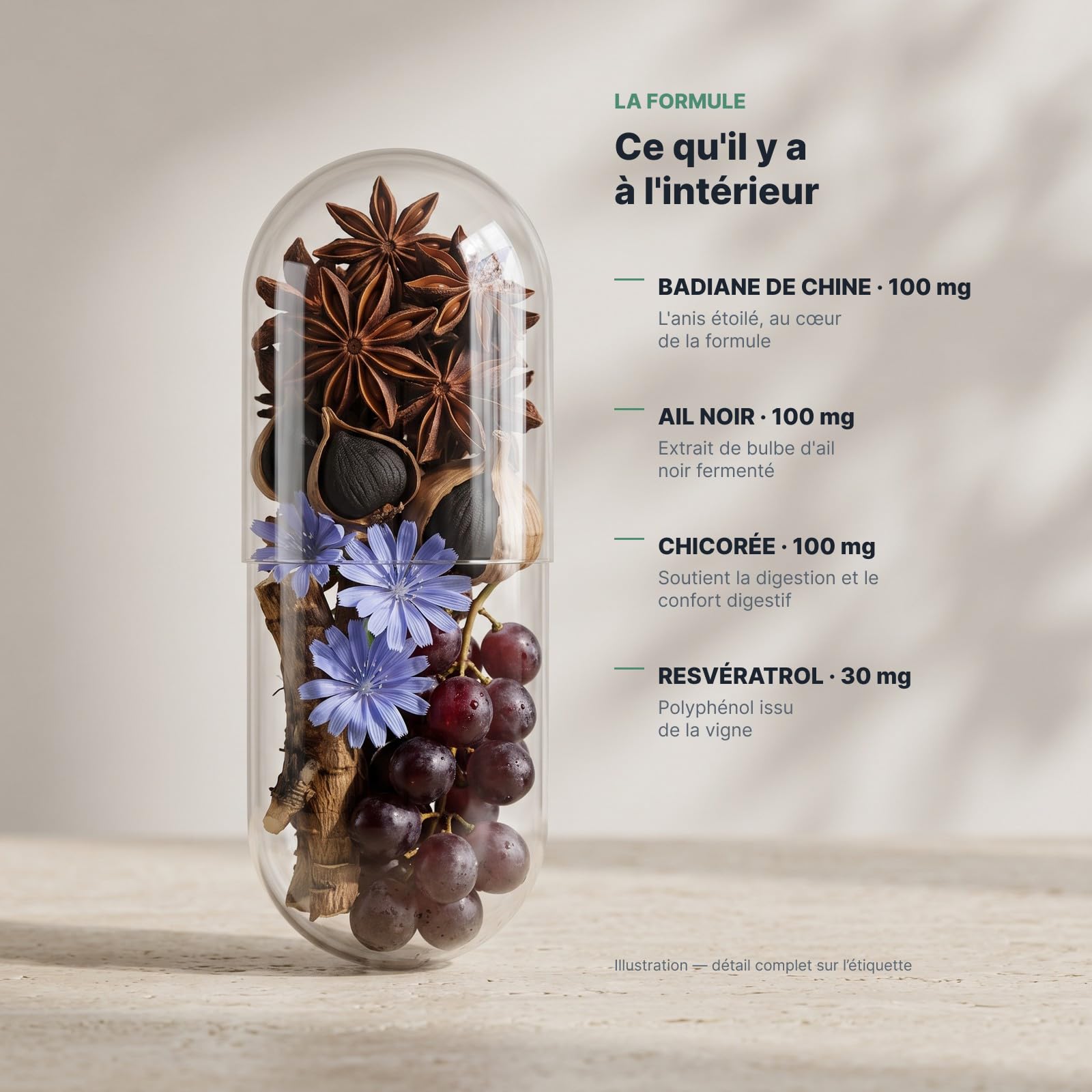 Floravia by NutriSolution I Resvératrol, Zinc, Vitamine B3, Vitamine D3, Berbérine, Quercétine, Inulin I 'Absorption des Nutriments, Probiotiques, à base de Plantes I Fabriqué en France (3)