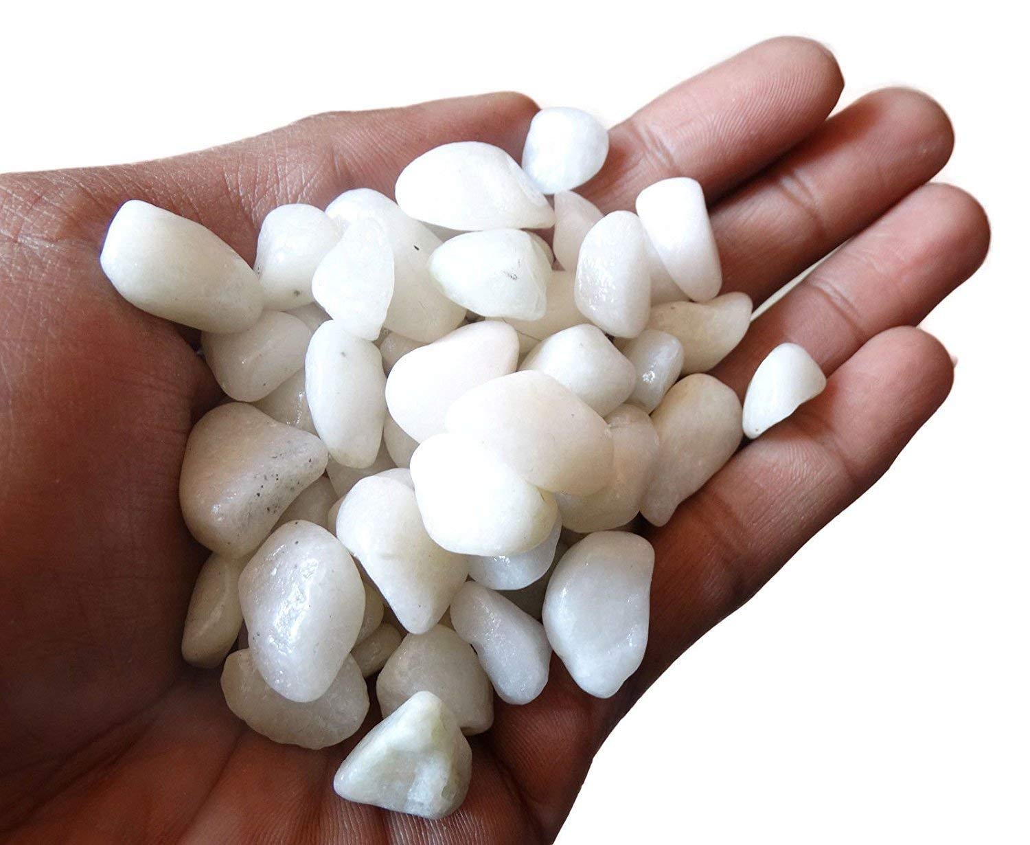 Radha Creation Multicolor Pebbles Stones for Plants Pots, Aquarium/Fish Tank, Garden, Decoration, Table and Home Decor, Vase Fillers (1 Kg)_RCR_031-image-31