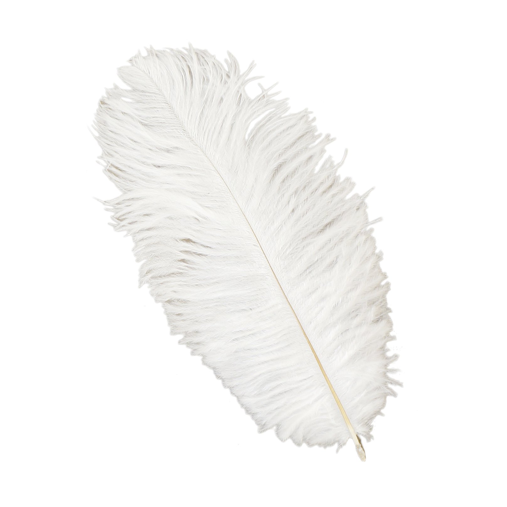 Plumes d'autruche blanches ZUCKER Feather de loisirs creatifs
