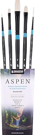 Princeton Aspen 6500 Series 5pc Professional Paint Brushes for Acrylic