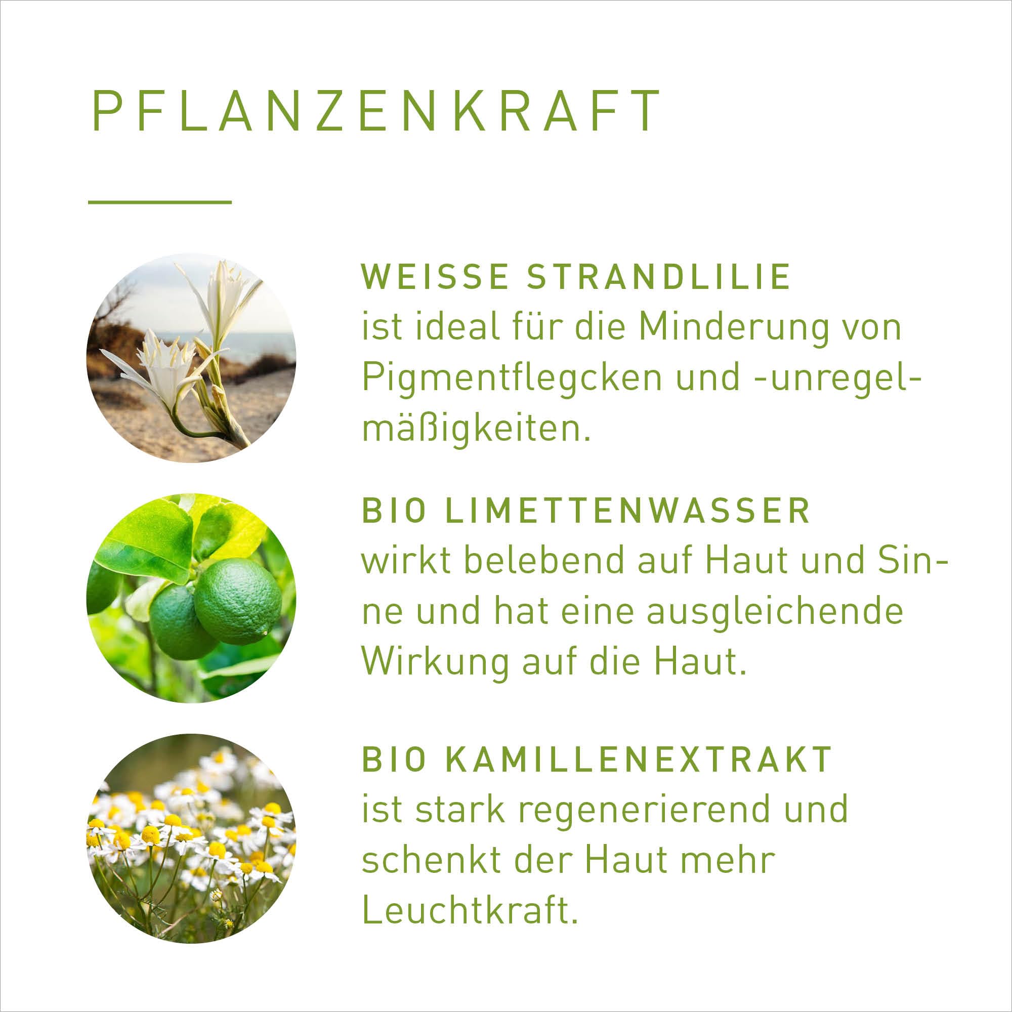 PRIMAVERA - Vitamin C Serum Illuminating & Balancing 30 ml - Naturkosmetik - elegantes Vitamin C Gesichtsserum für alle Hauttypen - verleiht bei Hyperpigmentierung einen strahlenden Teint - vegan