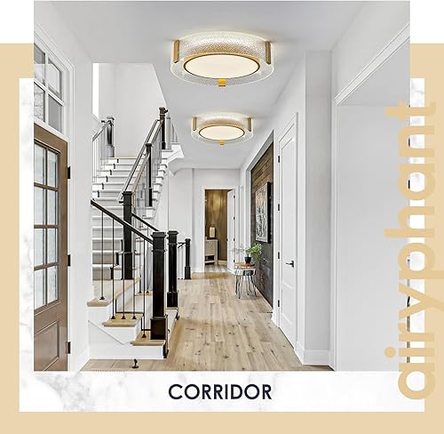 Miniatura 9 de Lámpara de techo LED moderna de 16 pulgadas, luz de techo empotrada dorada con control remoto Dimmale 300040005000K cerca de la lámpara de techo