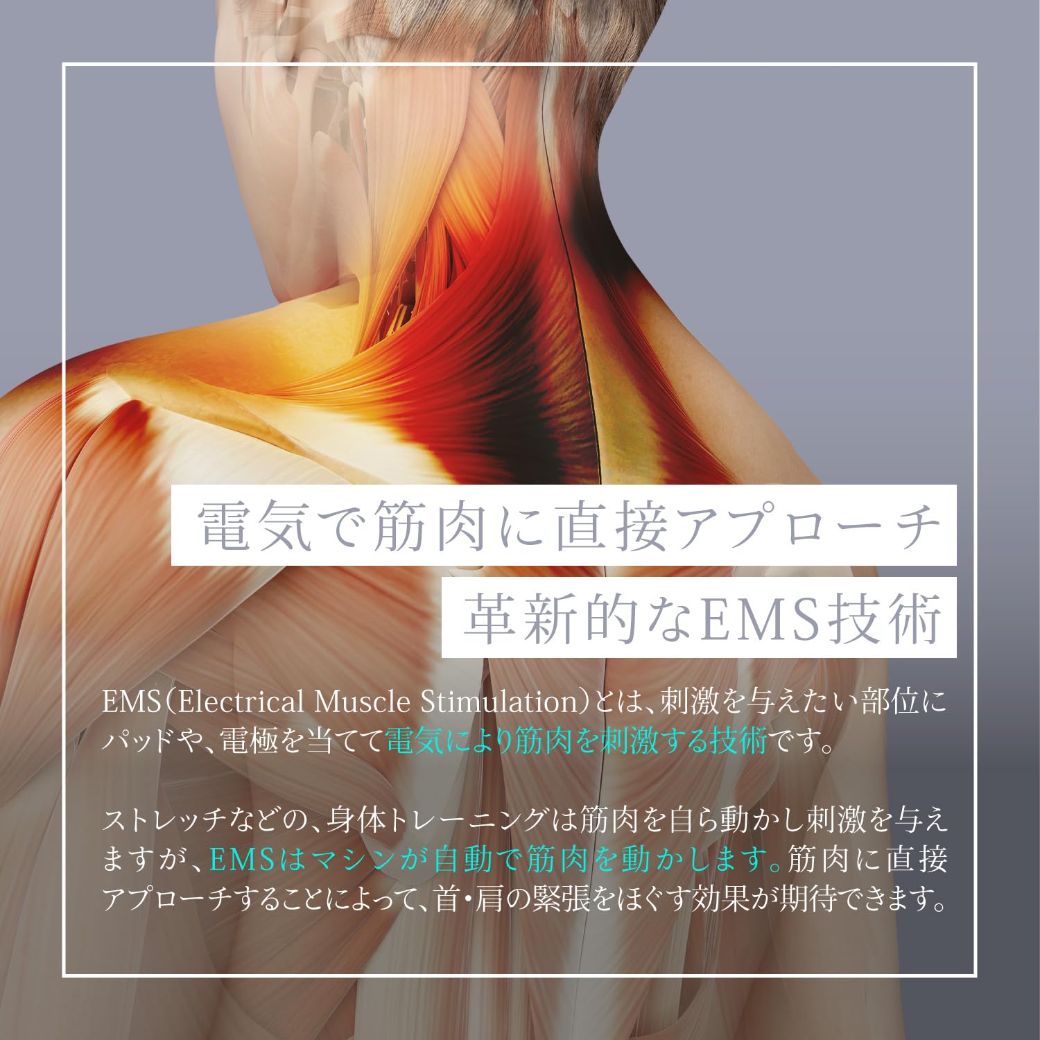 Amazon.co.jp: EMSリラックスループ ネックケア リラクゼーション