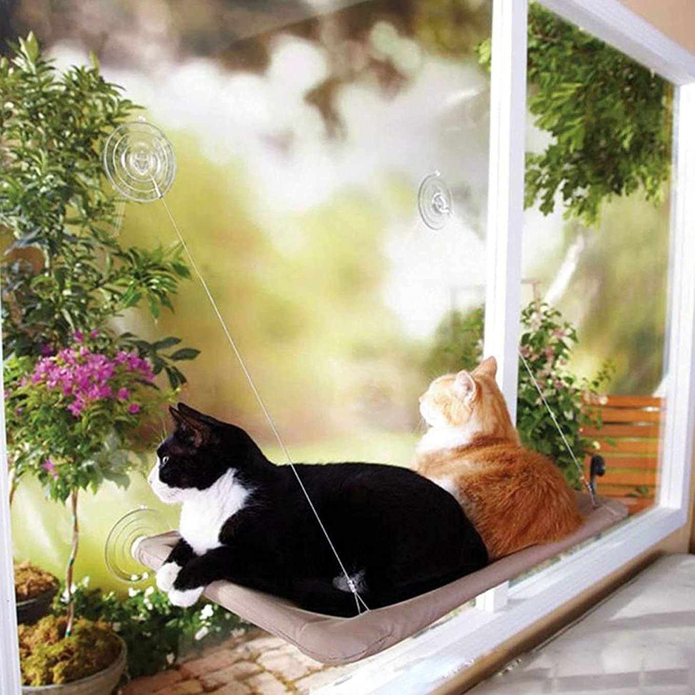 Hamaca para Gato Hamaca Ventana de Gato Hamaca para tomar el sol para gatos montada en la ventana, cama colgante para mascotas con ventosa y manta negra para mascotas para percha para gatos GXBCS 1115