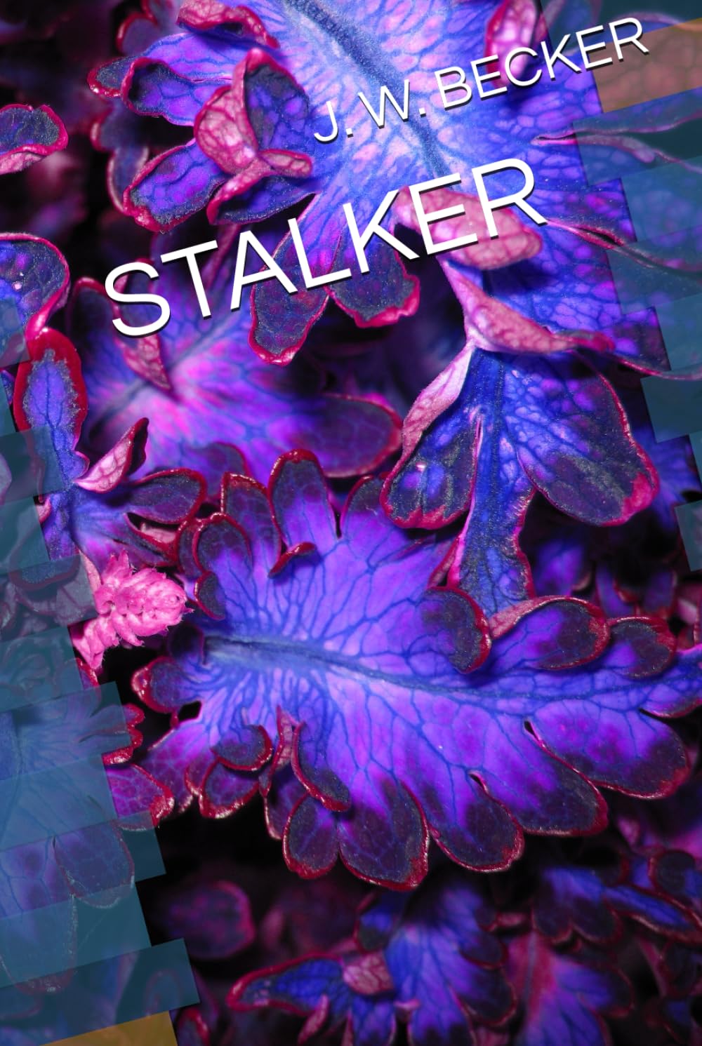 STALKER