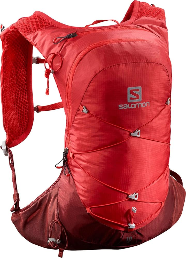 Amazon.com : Salomon XT 10, Goji Berry/Madder Brown, One Size