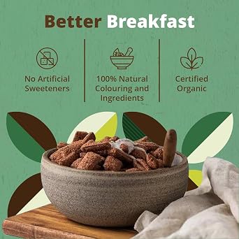 Turtle Cereal Better Breakfast – Cocoa Pillows Gluten Free Cereal with Hazelnut Filling 300g (Pack of 4) | Certified Organic Vegan Gluten Free, Source of Fibre, No Palm Oil