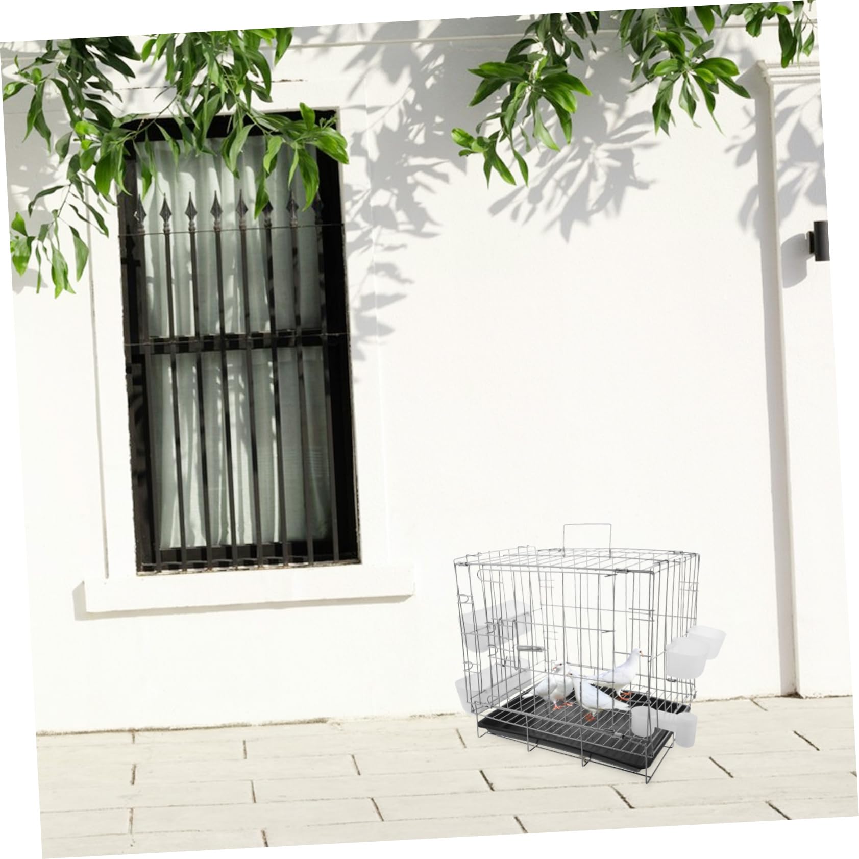 Jaula para Palomas Plegable Multifuncional con Bandeja, para Cría y Transporte de Pequeñas Aves Color Aleatorio
