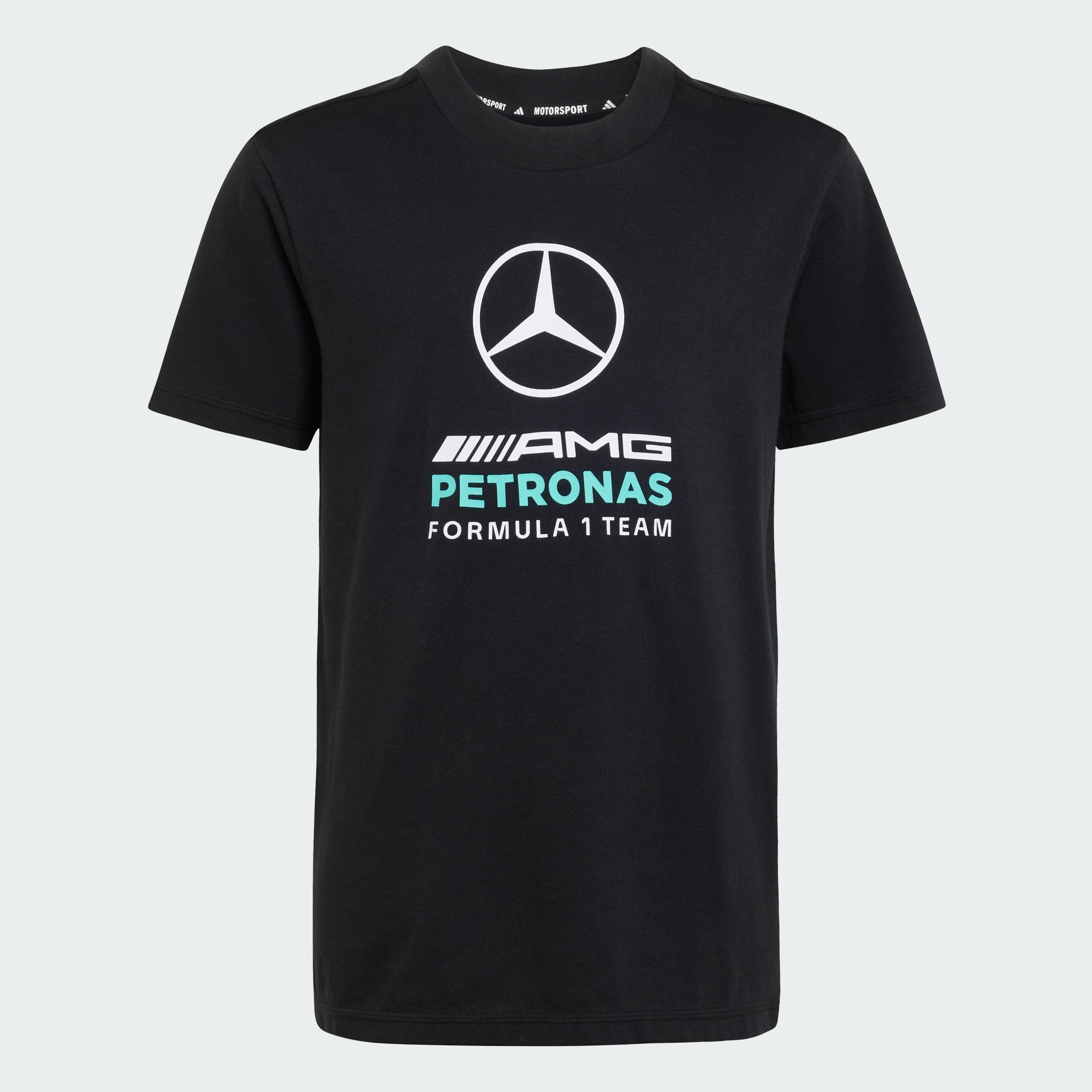 adidas Unisex Kids Mercedes - AMG Petronas Formula 1 Team DNA Graphic TEE, Black, 15-16 Years