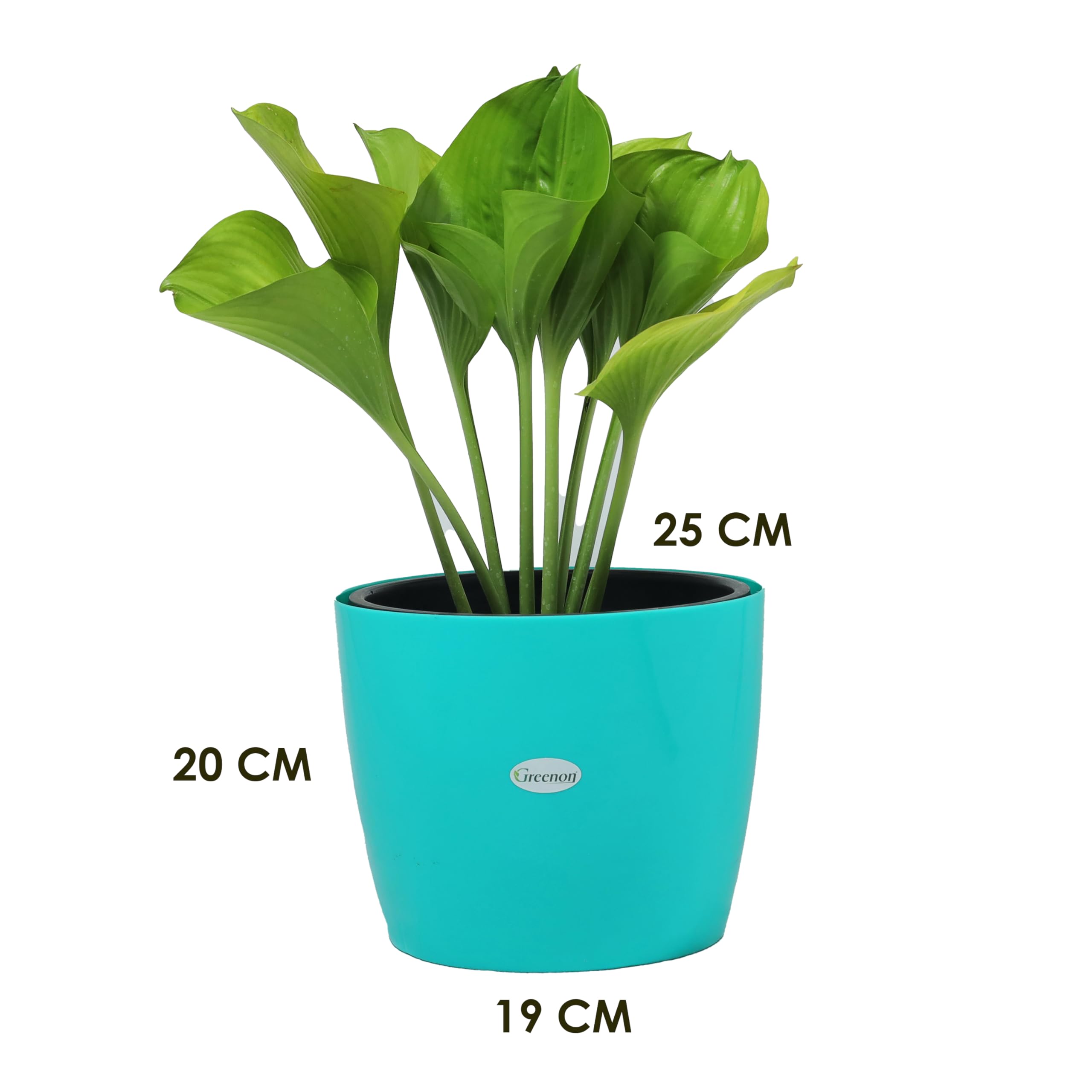 GREENON Self Watering Pots - Set of 3 -2 GREENON Self Watering Pots - Set of 3 -2