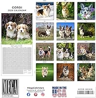 Vista 732 de Razas de Perros 2017