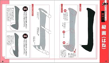書道本 Amazon | 【お得な2個セット】 開明 墨汁屋さんの墨吸い取るんだ