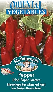 Mr Fothergills - Pictorial Packet - Vegetable - Hot Pepper Paper Lantern - 20 Seeds