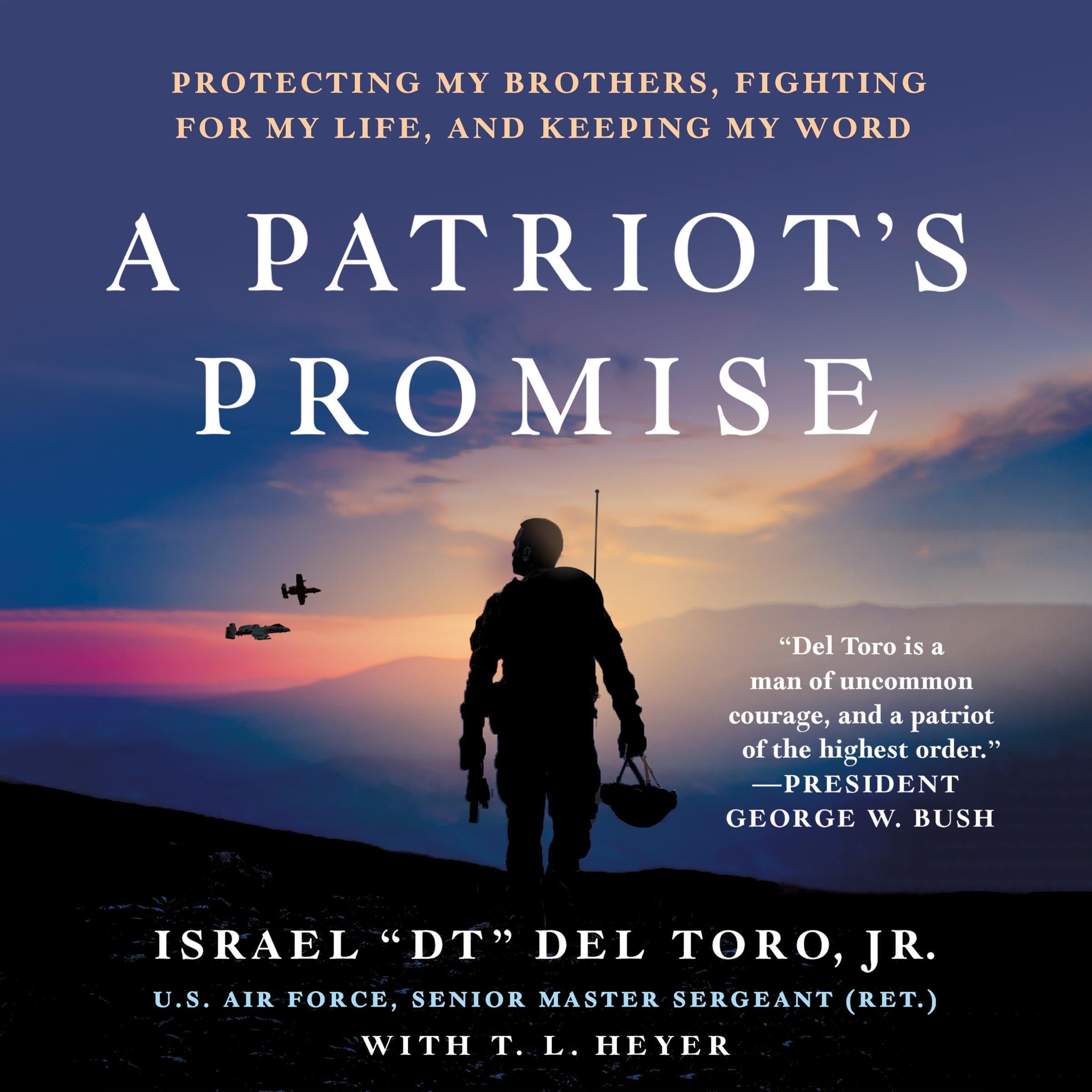 Cover art for A Patriot's Promise