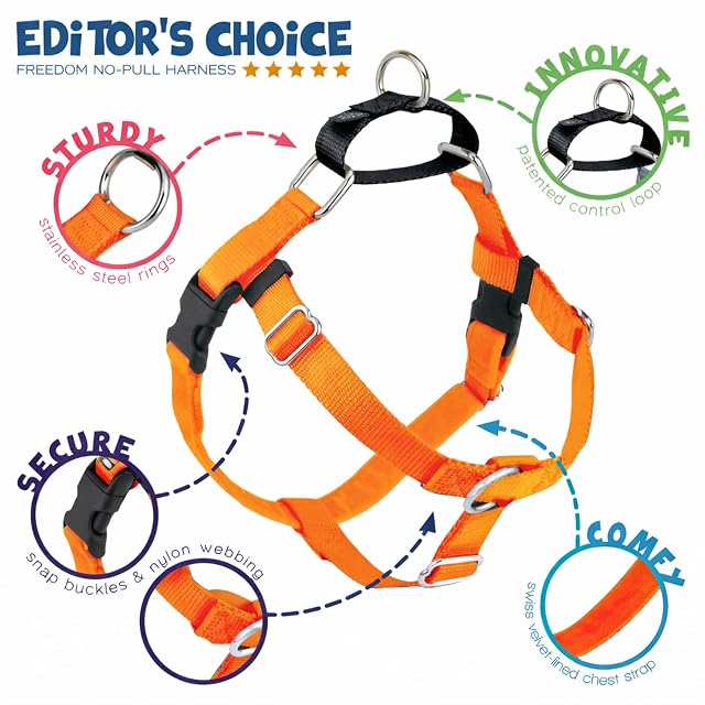 Foto 4 de 8 de 2 Hounds Design Freedom Arnés para Perro sin Tirar, con Correa, XL, 1 Pulgada de Ancho, Naranja neón