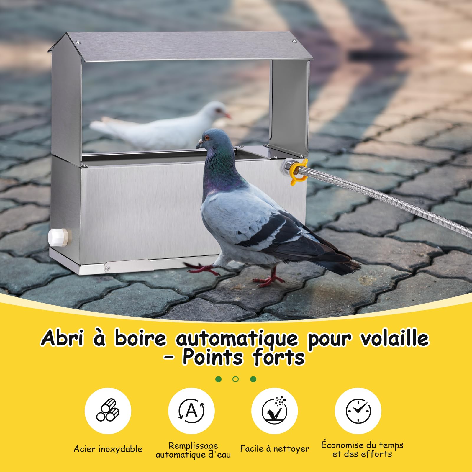Poulet Waterer Automatique en Aciers Inoxydables Poulet Waterer Automatique Poulet Waterer Distributeur Automatique avec Vanne Flottante Et Jambe Eau De Poulet en MéTal pour Canard, Pigeon (8 litres)