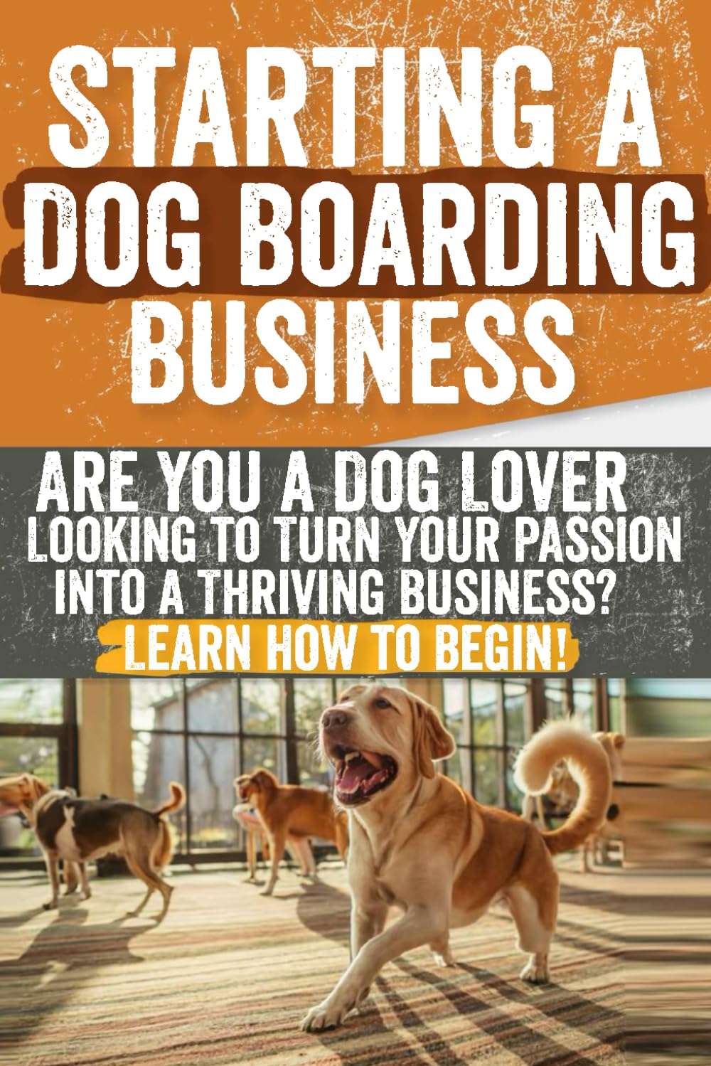 Starting a Dog Boarding Business: Are You a Dog Lover Looking to Turn Your Passion into a Thriving Business? Learn How to Begin!