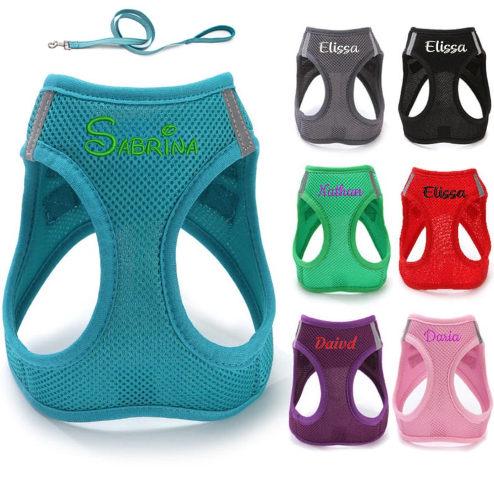 Arnés personalizado para perro con correa, juego de arnés y correa personalizado para perro sin tirones, nombres personalizados, arneses de chaleco para mascotas para perros y gatos pequeños, medianos