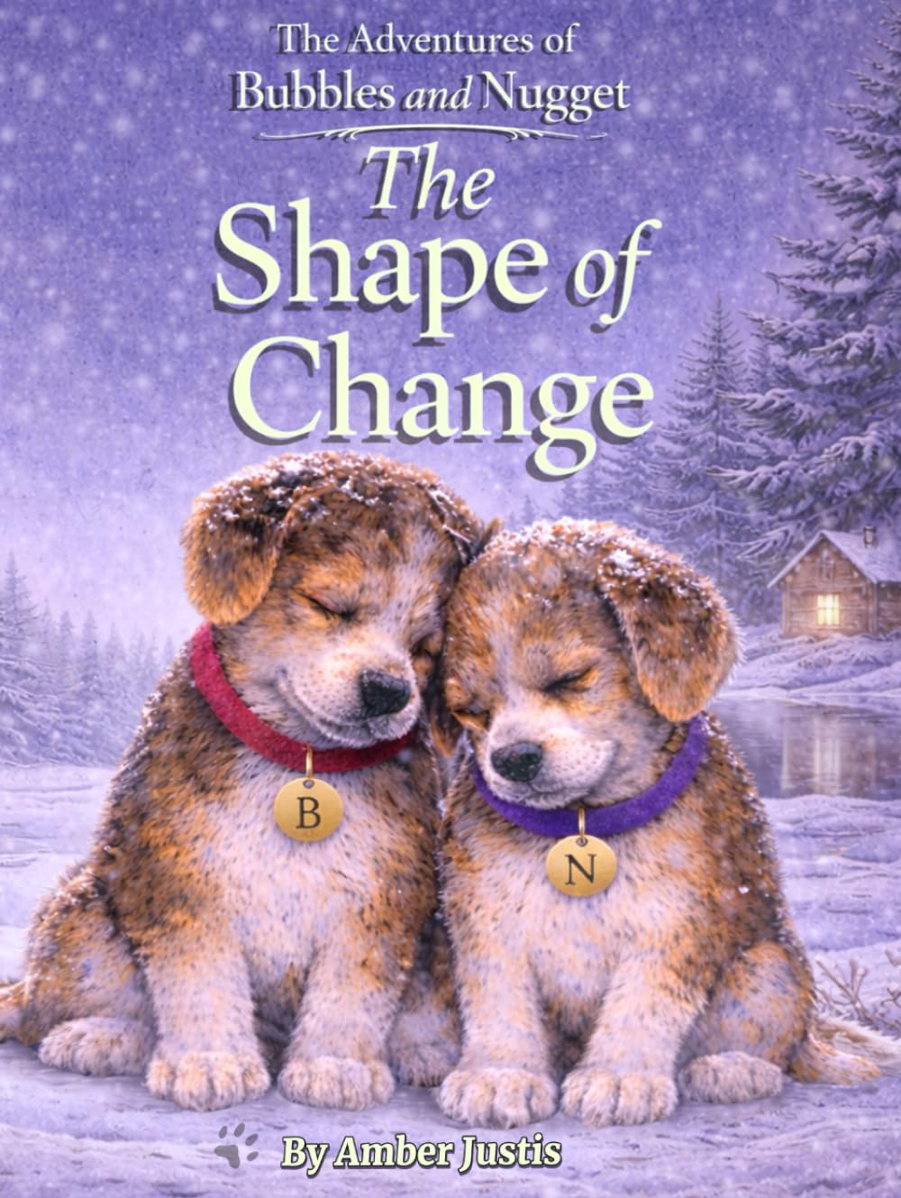 The Shape of Change (The Adventures of Bubbles & Nugget)