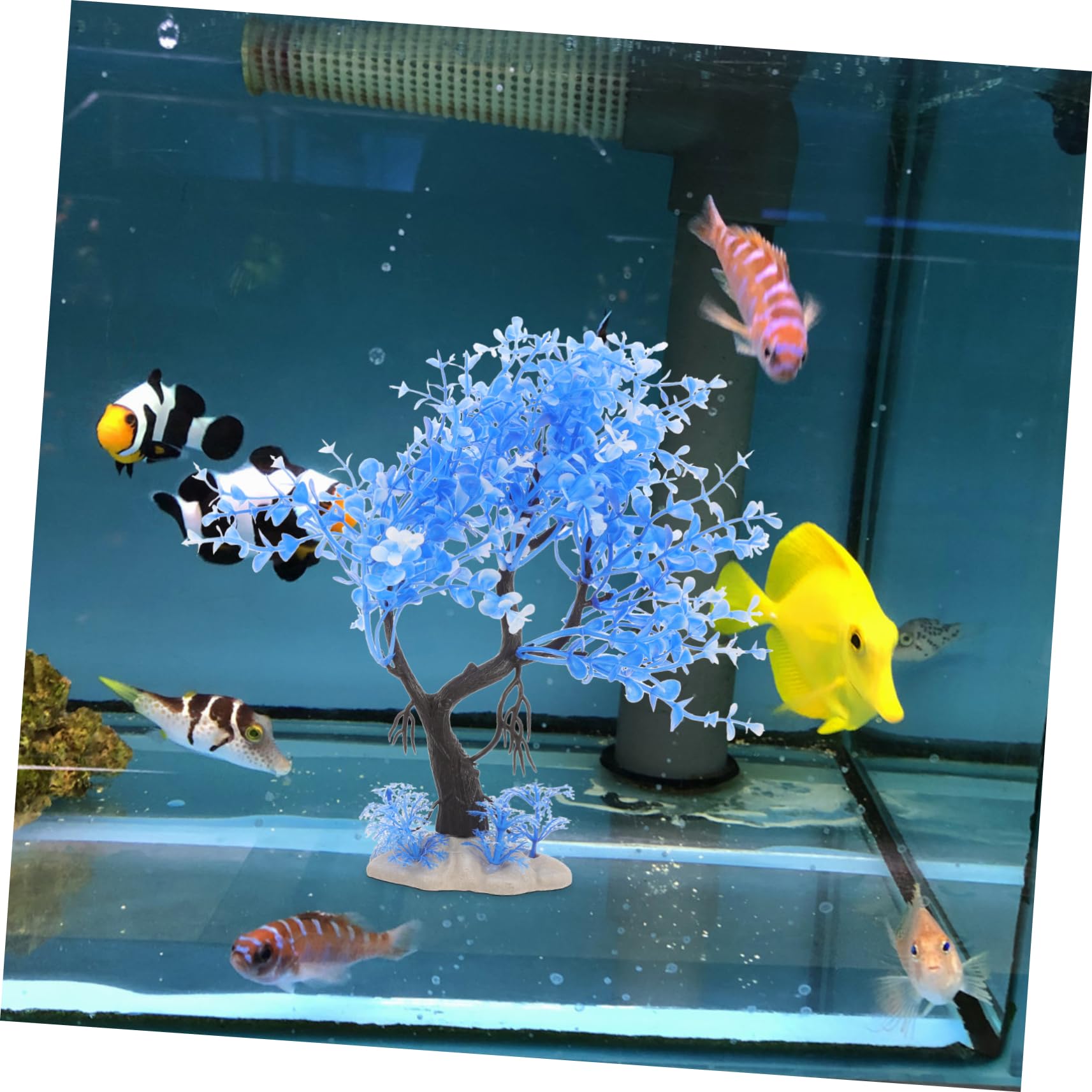 Sosoport 5 Juegos 5 Juegos De Combinación De Plantas De Agua De Simulación Pecera Pecera Planta Artificial Acuario De Agua Dulce Esponja Secadora De Estanque 7 Uds * 5