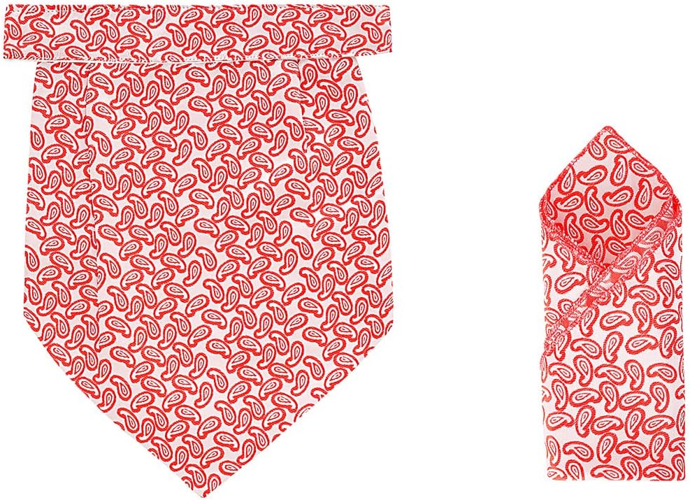Eccellente WilliAN Cravat and Pocket Square Set for Men Free Size_Designer_