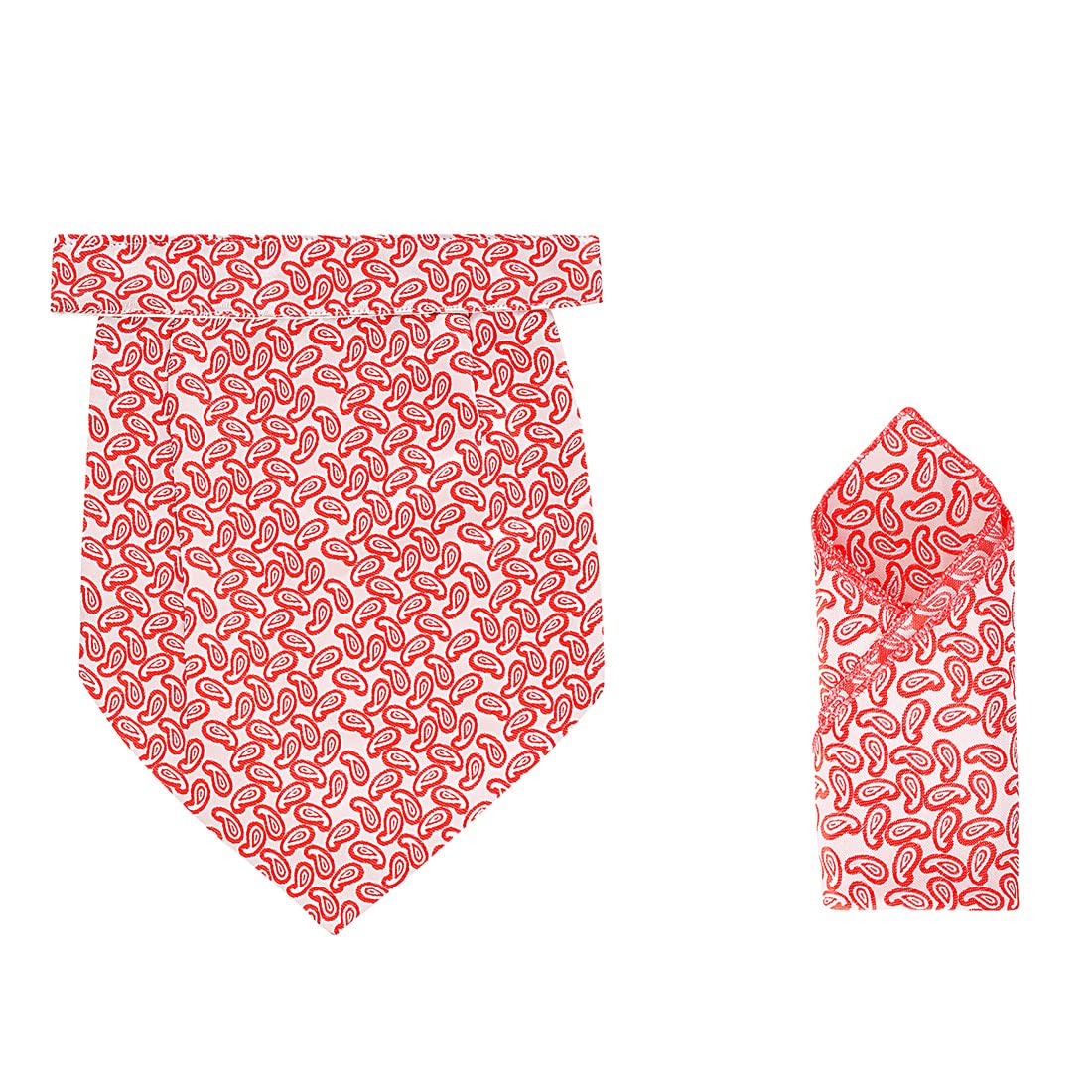 Eccellente WilliAN Cravat and Pocket Square Set for Men Free Size_Designer_