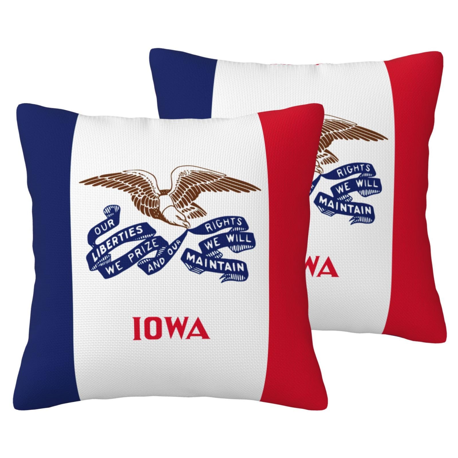 Housse de coussin décorative Iowa lot de 2 finition haut de gamme salon