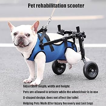 小型犬用 車いす 調整可能 Amazon.co.jp: 調節可能な犬用カート/車椅子、車輪付き小型犬用