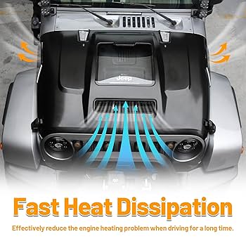 Amazon.com: Space Capsule Hood Compatible with 2007-2017