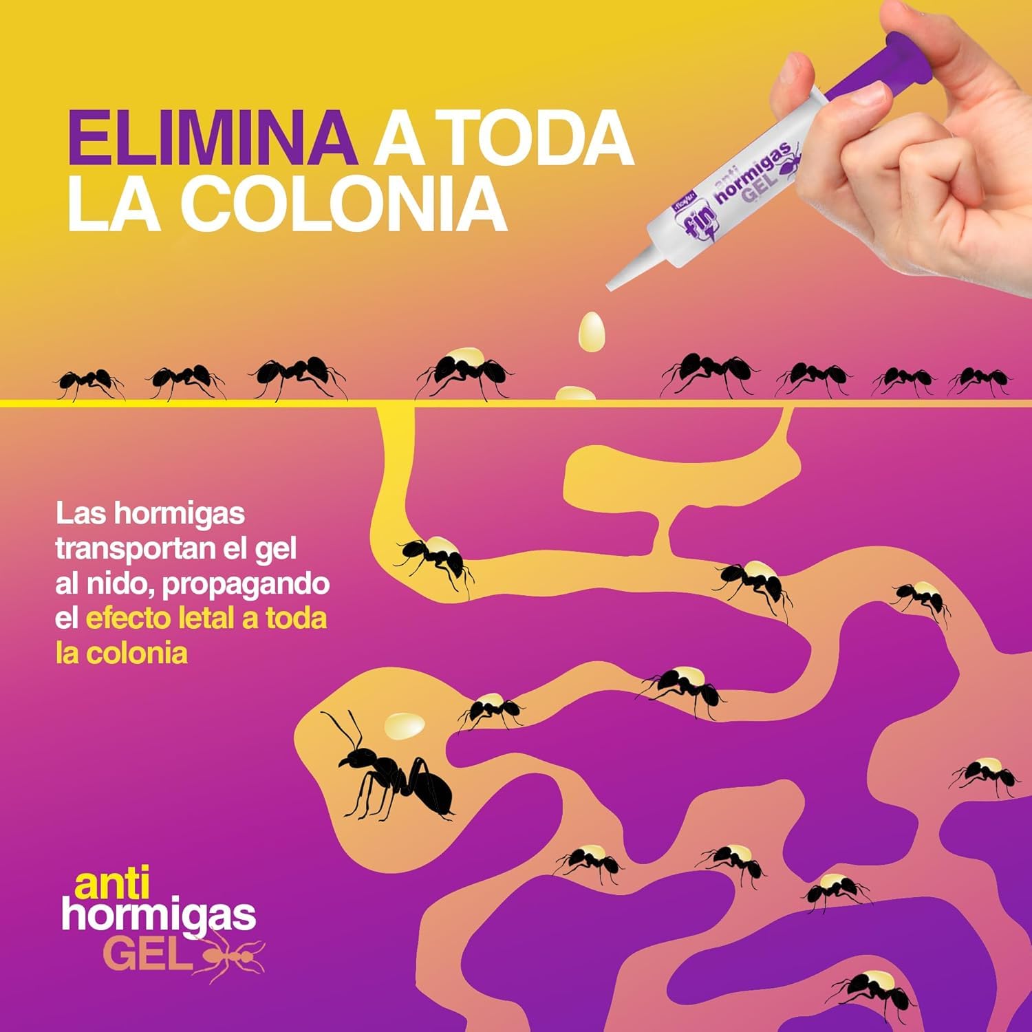 FLOWER x 6 Insecticida Anti Hormigas Formato Jeringa 10 gr | Jeringuilla Antihormigas Eficaz Elimina a Toda La Colonia | Gel Atrayante y Duradero | Interior y Exterior | Aplicación Segura y Sencilla