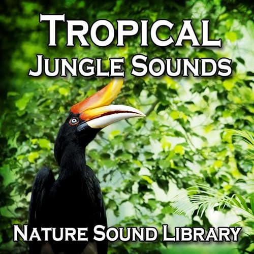 Tropical Jungle Sounds (Nature Sounds for Deep Sleep, Relaxation