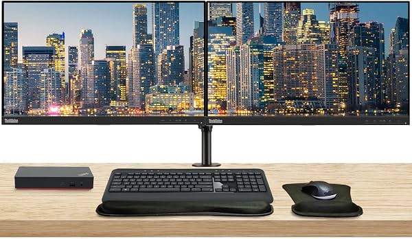 Lenovo ThinkVision S22e 22 pulgadas 1920 x 1080 Retroiluminación LED Full HD LCD, Paquete de 2 con HDMI, VGA, Soporte para Doble Monitor, Base Universal USB-C ThinkPad, Teclado y Mouse Inalámbricos MK540, Mouse y Reposamuñecas