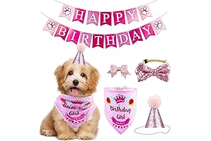Dog Birthday Party Supplies Bandana Hat Banner Set Boy Girl Cute Bow...