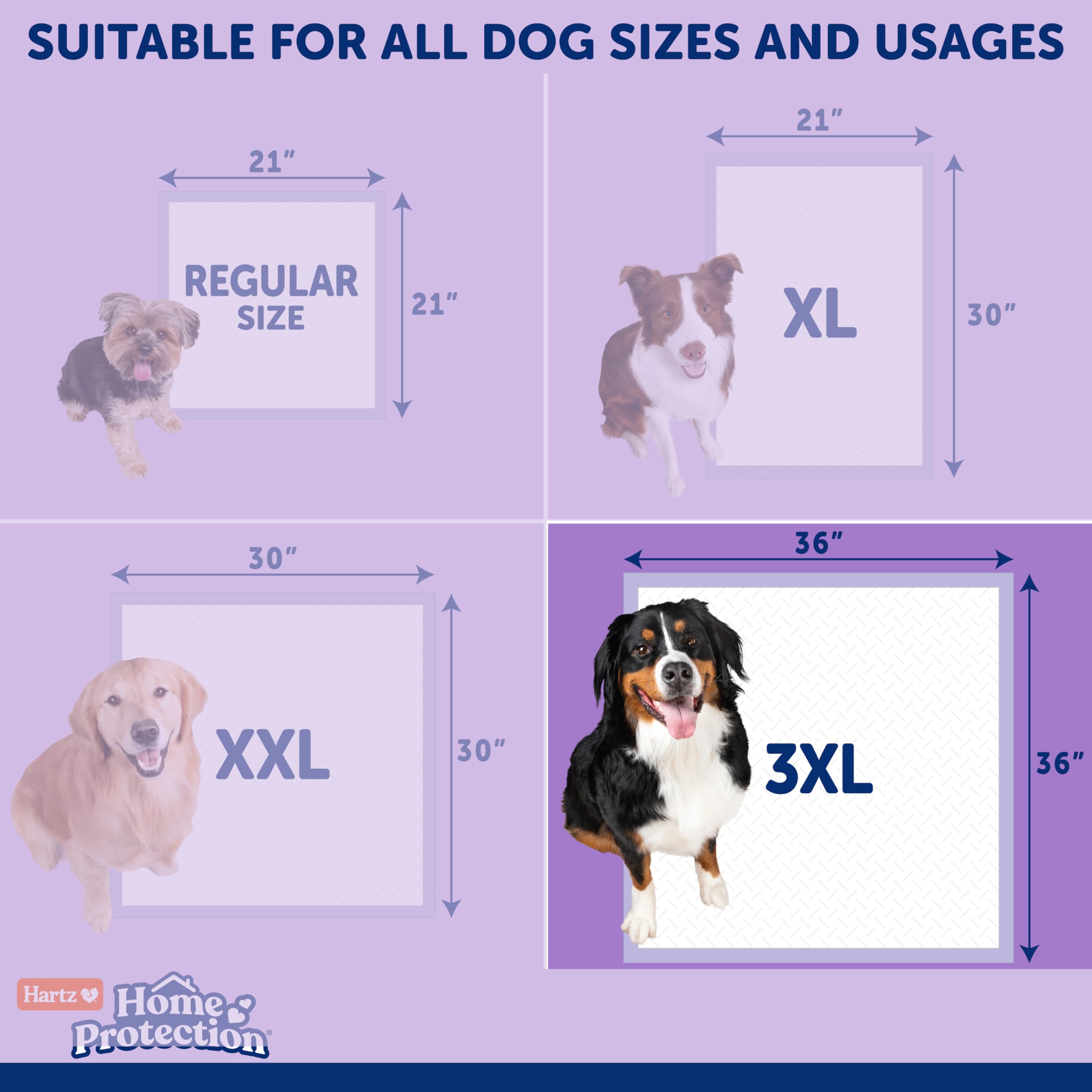 Hartz Almohadillas para perros con aroma para eliminar olores, superabsorbentes y no se filtran, aroma a lavanda, almohadillas 3XL, 30 unidades