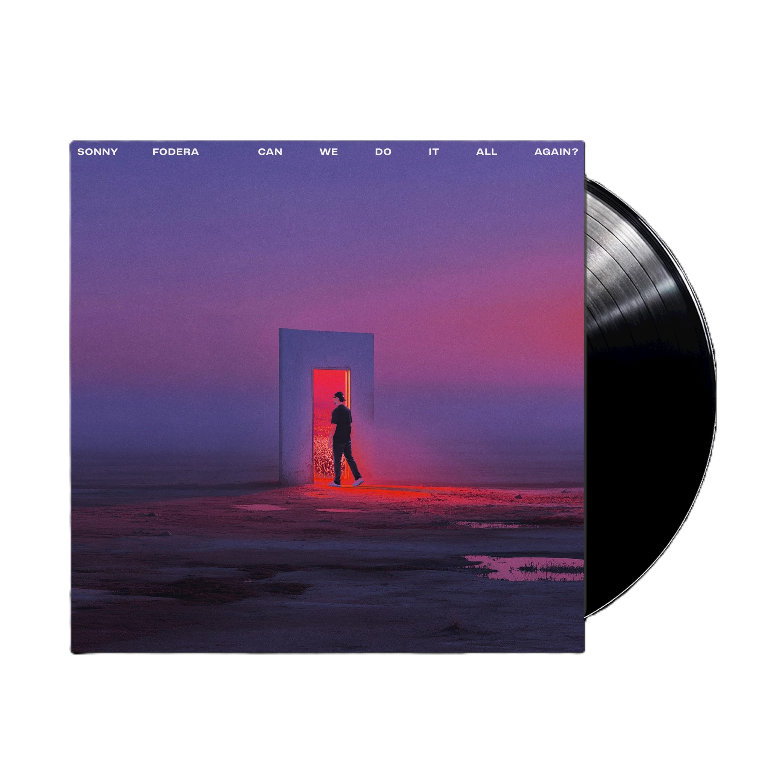 can we do it all again? [VINYL]