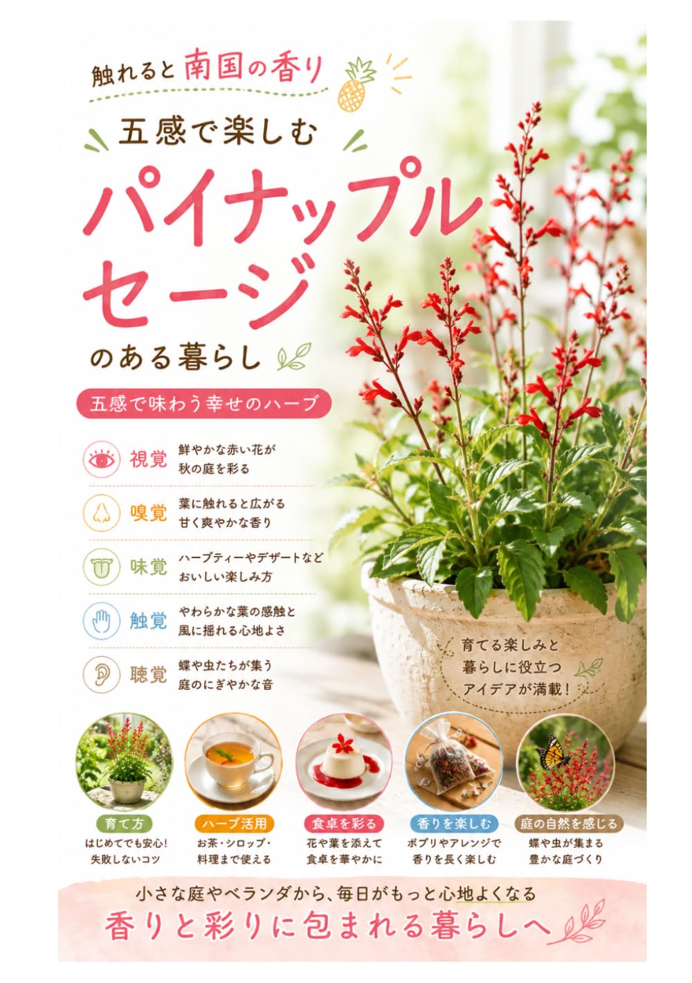 触れると南国の香り：五感で楽しむパイナップルセージのある暮らし: 香りと彩に包まれる暮らしへ (やさしい園芸（ハーブ）)