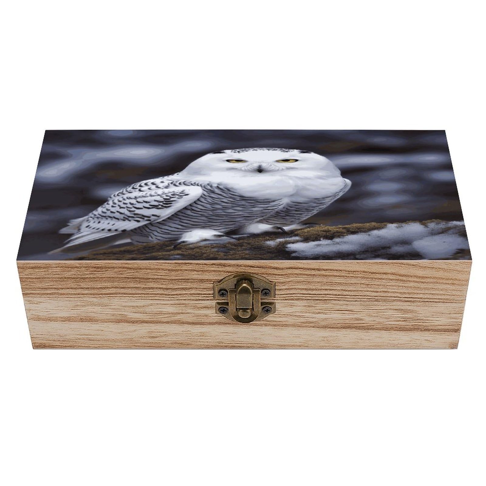 VstaDank Arctic Owl Wooden Storage Box Wooden Keepsake Box with A Hinged Lid Fashion Memory Treasure Boxes Decorative Jewelry Case for Crafts Photo Home Decor Wood Gift Box