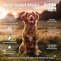 Vista 5 de SUPER CAN BULLYSTICKS Supercan - Palitos de gaviota de res (trenzados de 12 pulgadas (paquete de 4)